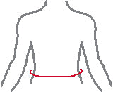 Ryggbälte - Mueller - Svart